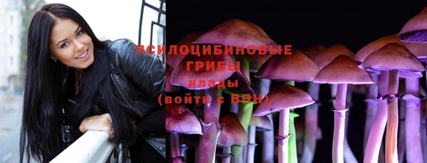 ешки Нефтегорск