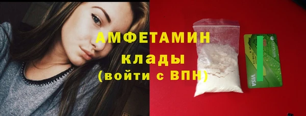 стафф Новодвинск