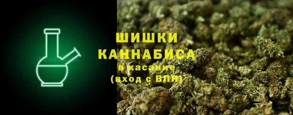 стафф Новодвинск