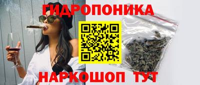 Альфа ПВП Дубна