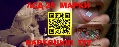 Альфа ПВП Дубна