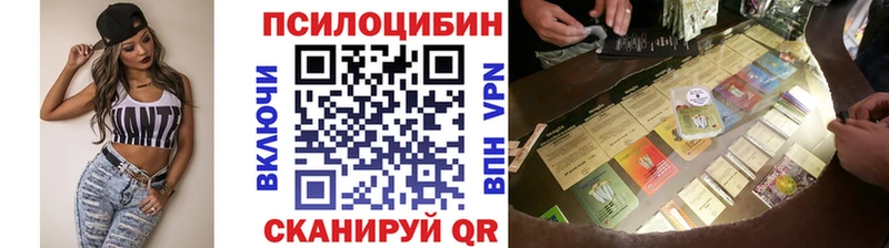 Псилоцибиновые грибы Psilocybe  блэк спрут зеркало  Похвистнево 