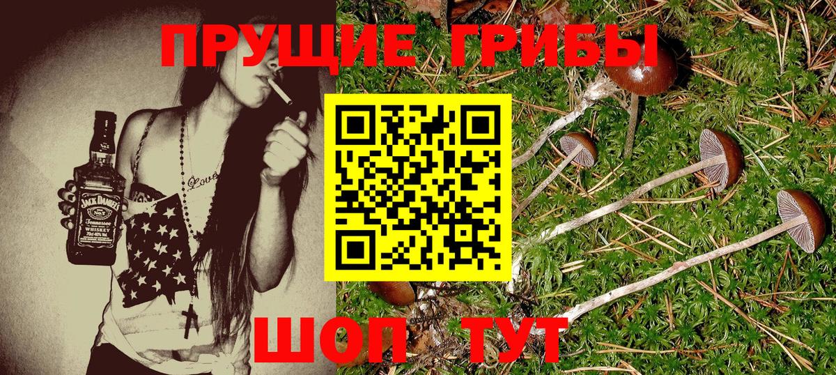 Псилоцибиновые грибы прущие грибы Похвистнево