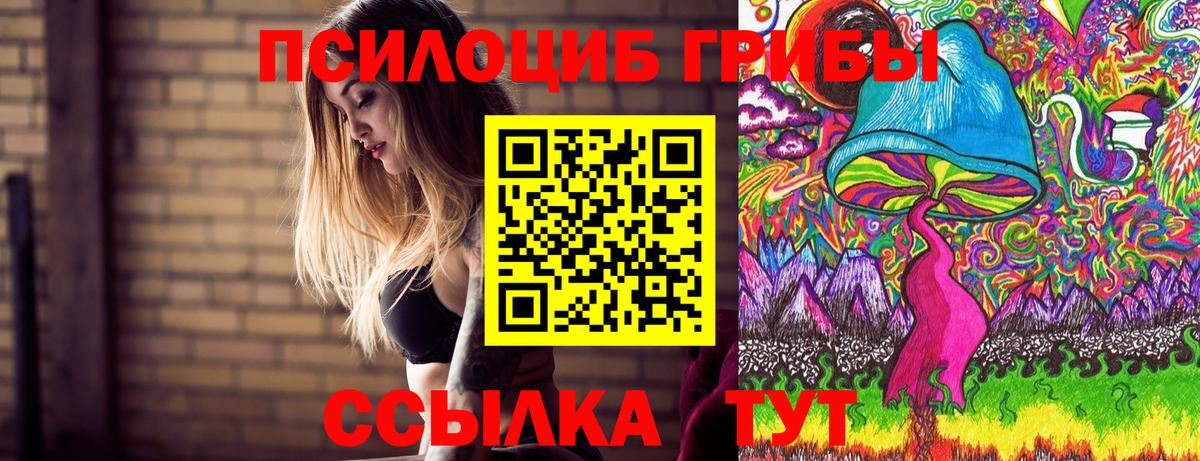 Псилоцибиновые грибы GOLDEN TEACHER  Вход с VPN  Похвистнево 
